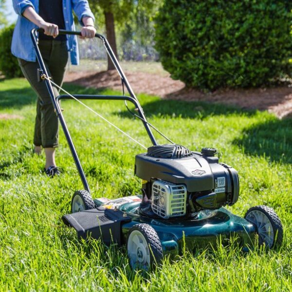 Bolens 125-cc 20-in Gas Push Lawn Mower with Briggs and Stratton Engine - Image 3
