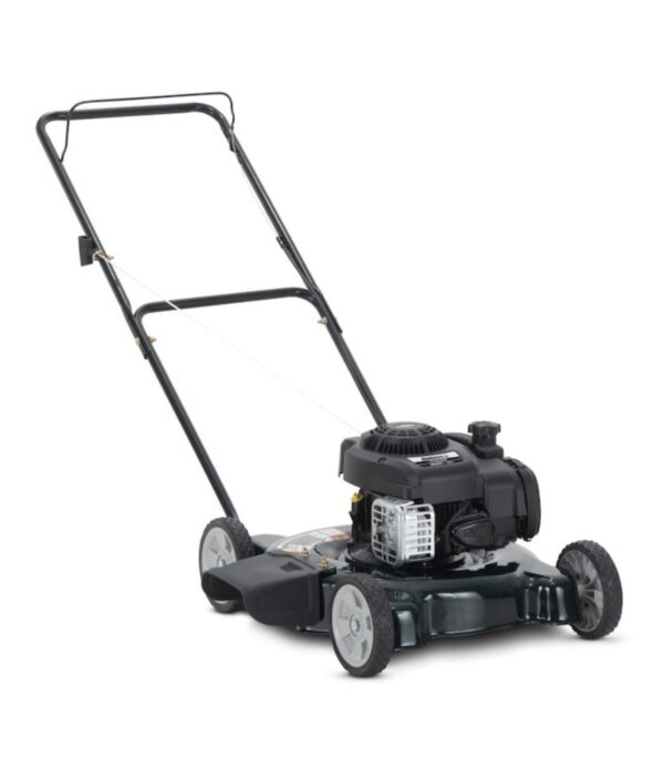 Bolens 125-cc 20-in Gas Push Lawn Mower with Briggs and Stratton Engine