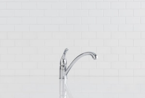 Moen Torrance Chrome Single Handle Low-arc Kitchen Faucet with Sprayer included - Image 4
