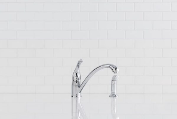 Moen Torrance Chrome Single Handle Low-arc Kitchen Faucet with Sprayer included - Image 5