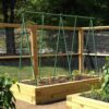 Miracle Gro Solid Garden Stakes Fiberglass Poles Fence Post Heavy-Duty Plant Stakes for plants , 6ft - Image 3