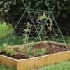 Miracle Gro Solid Garden Stakes Fiberglass Poles Fence Post Heavy-Duty Plant Stakes for plants , 6ft - Image 4