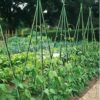 Miracle Gro Solid Garden Stakes Fiberglass Poles Fence Post Heavy-Duty Plant Stakes for plants , 6ft - Image 7