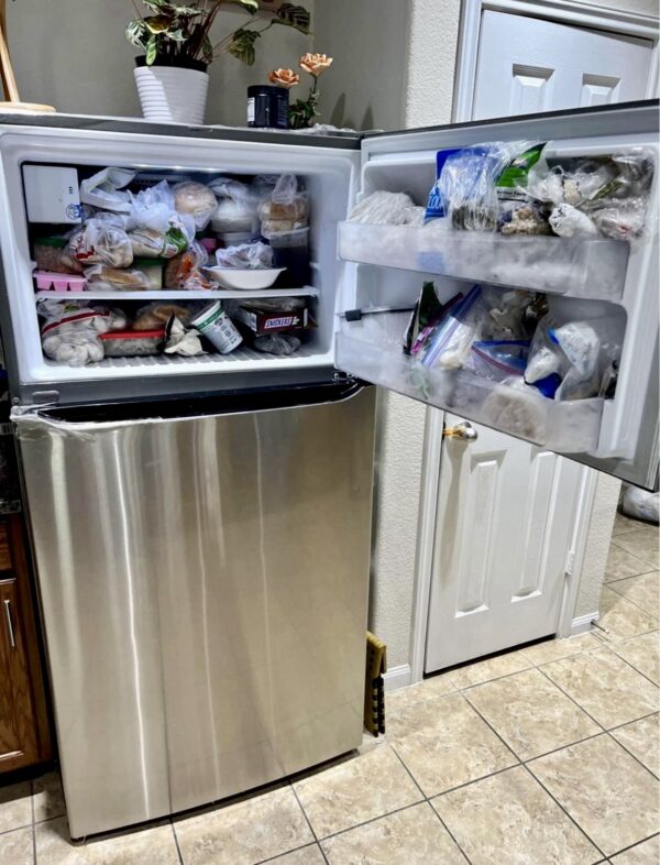 LG 24-cu ft Top-Freezer Refrigerator with Ice Maker (Printproof Stainless Steel) Garage Ready - Image 8