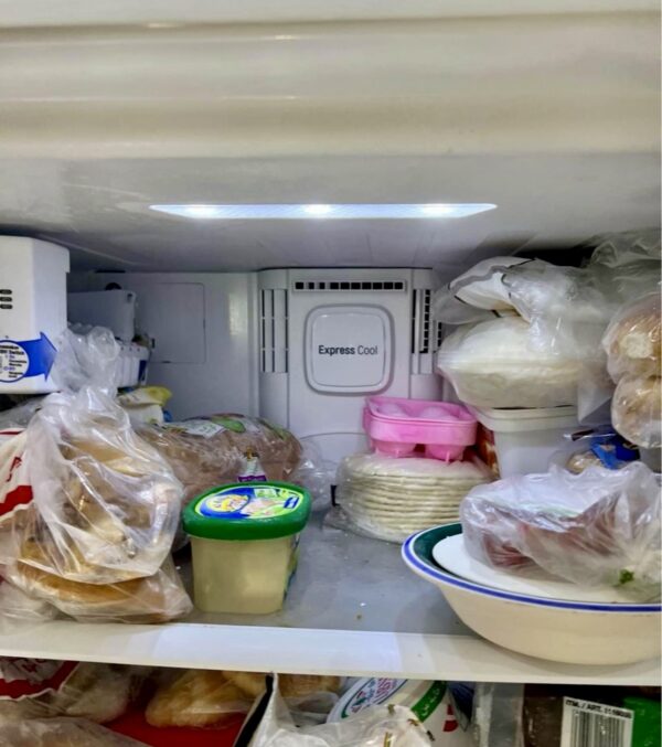 LG 24-cu ft Top-Freezer Refrigerator with Ice Maker (Printproof Stainless Steel) Garage Ready - Image 12