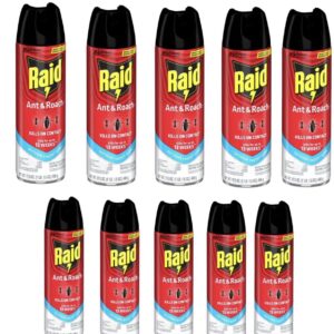 Raid Ant & Roach Insect Killer, Indoor Insecticide, Residual Killing Power, Outdoor Fresh Scent, 17.