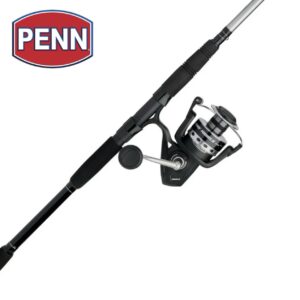 PENN Pursuit® IV Combo, 10' Heavy Fishing Rod, 8000 Size Reel