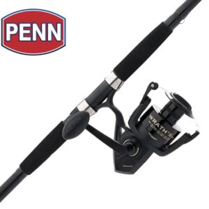 PENN Wrath II Fishing Spinning Combos Surf Rod, 12' Heavy Rod, 8000 Reel